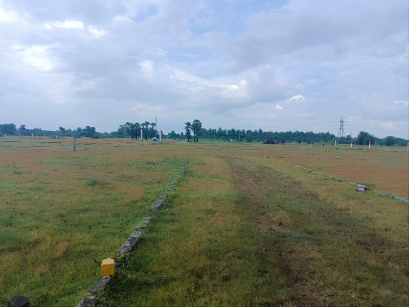  800 Sq.ft. Residential Plot for Sale in Padappai, Chennai