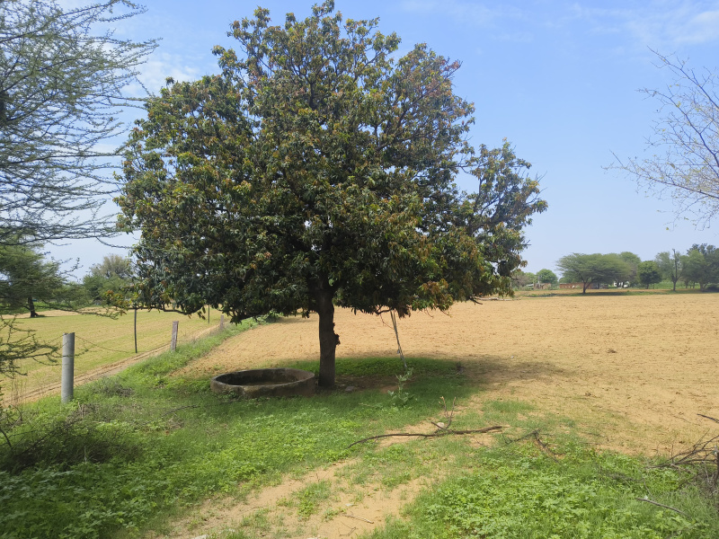  Residential Plot 850 Sq.ft. for Sale in Ujjain Road, Indore