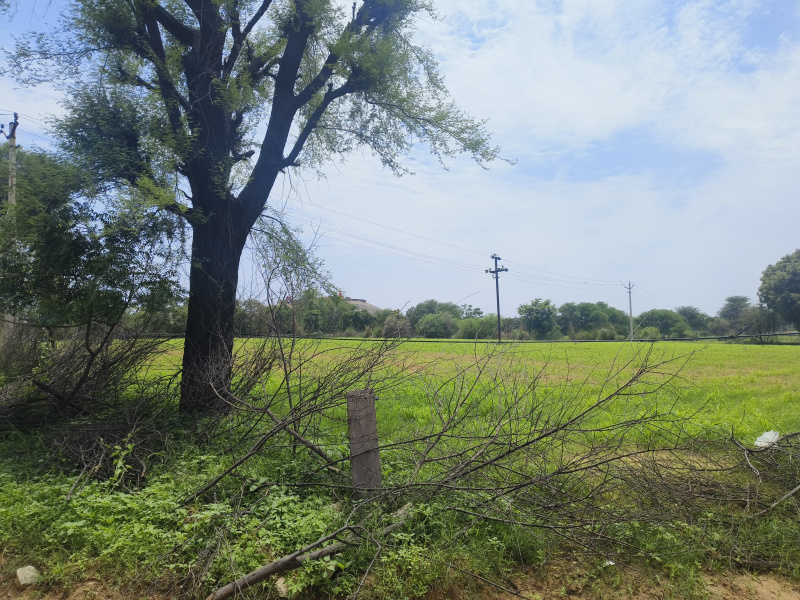 Residential Plot 850 Sq.ft. for Sale in Ujjain Road, Indore