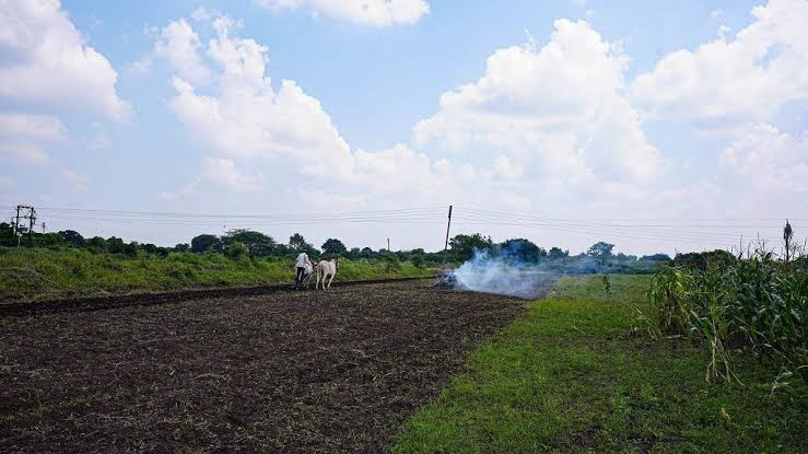  Agricultural Land 5 Acre for Sale in Ashti, Beed