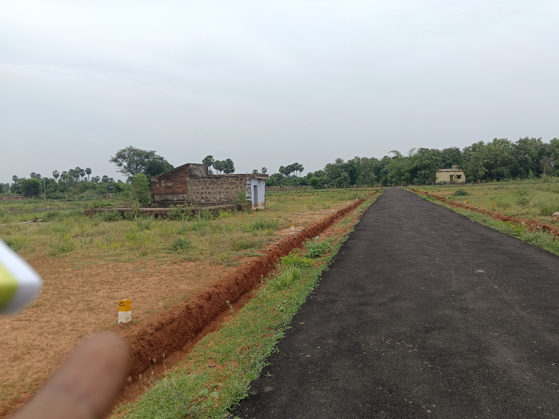  Residential Plot 3 Cent for Sale in Manakavalam Pillai Nagar, Tirunelveli