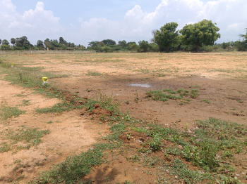  Residential Plot for Sale in Ambasamudram, Tirunelveli