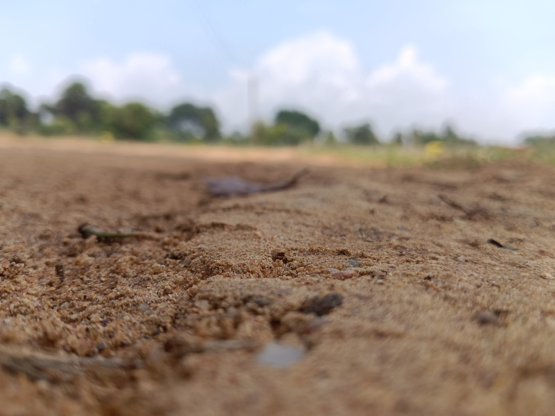  Residential Plot 2 Cent for Sale in Ambasamudram, Tirunelveli