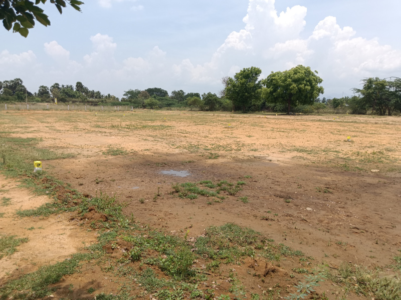  Residential Plot 2 Cent for Sale in Ambasamudram, Tirunelveli