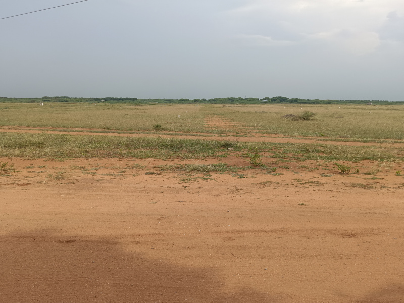  Residential Plot 3 Cent for Sale in Ramayanpatti, Tirunelveli