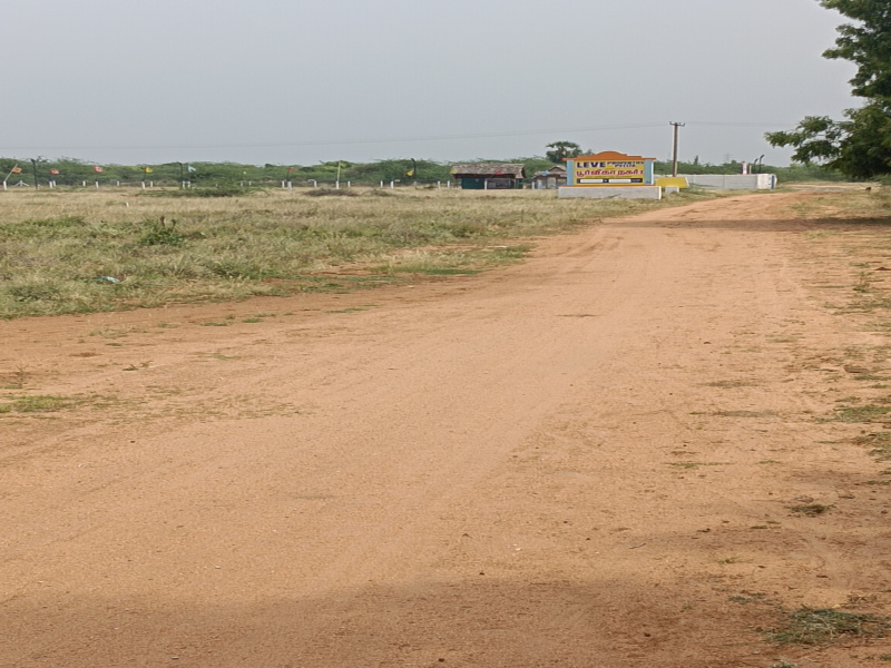 Residential Plot 3 Cent for Sale in Ramayanpatti, Tirunelveli