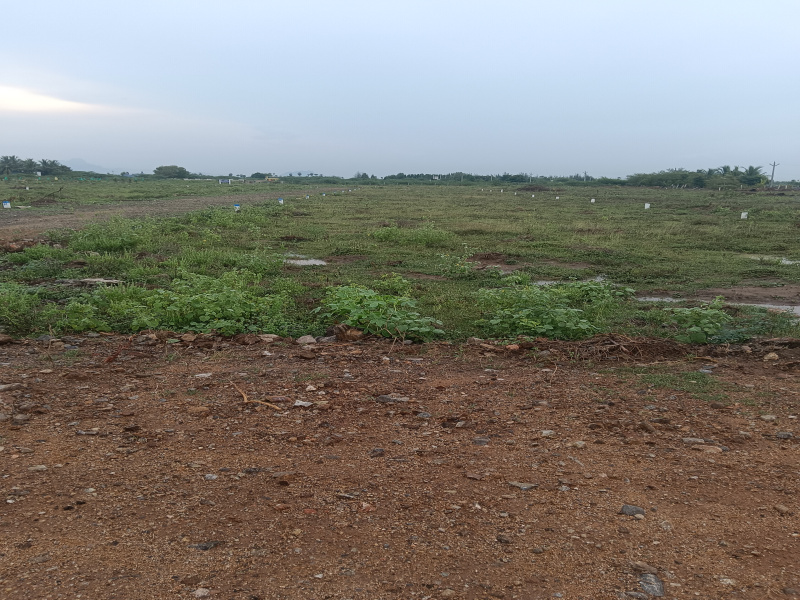  Residential Plot 3 Cent for Sale in Reddiarpatti, Tirunelveli