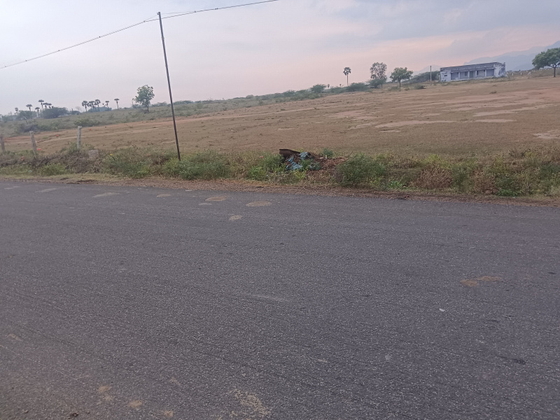  Residential Plot 3 Cent for Sale in Pettai, Tirunelveli