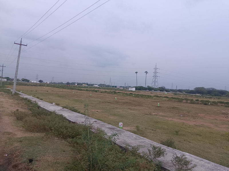  Residential Plot 3 Cent for Sale in Pettai, Tirunelveli
