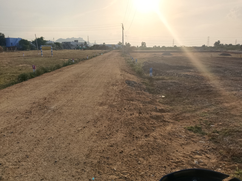  Residential Plot 3 Cent for Sale in Gopalasamudram, Tirunelveli