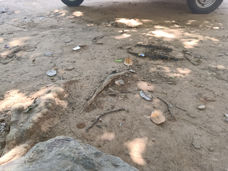  Residential Plot 3 Cent for Sale in Ambasamudram, Tirunelveli