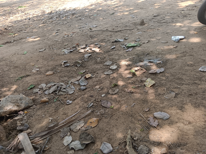  Residential Plot 3 Cent for Sale in Ambasamudram, Tirunelveli