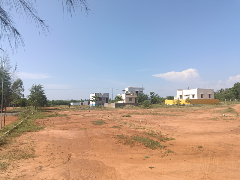  Residential Plot 3 Cent for Sale in Veeravanallur, Tirunelveli
