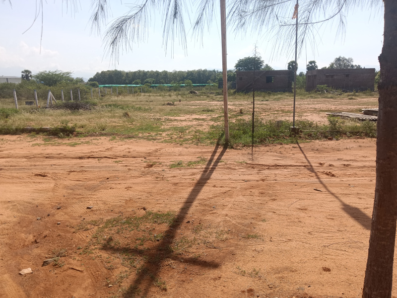 Residential Plot 3 Cent for Sale in Veeravanallur, Tirunelveli