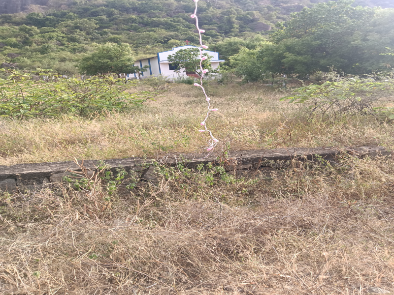  Residential Plot 60 Cent for Sale in Papanasam, Tirunelveli