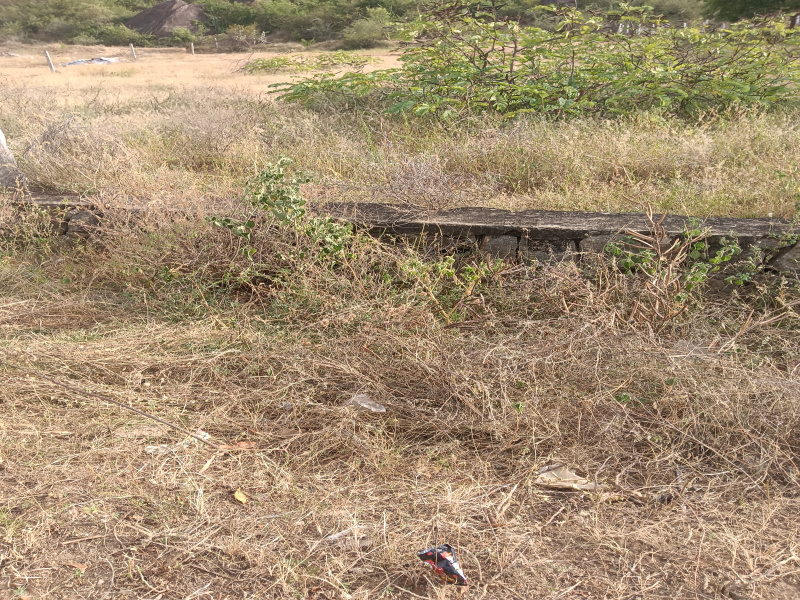  Residential Plot 60 Cent for Sale in Papanasam, Tirunelveli