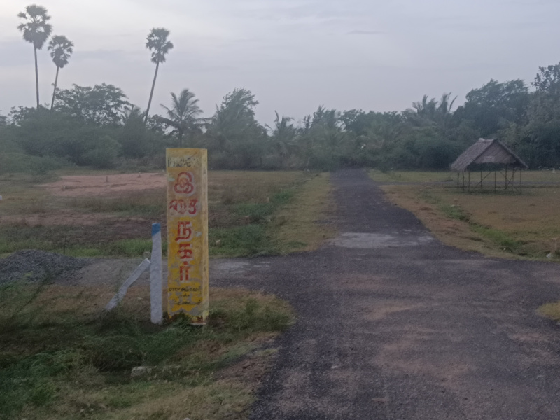  Residential Plot 3 Cent for Sale in Cheranmadevi, Tirunelveli