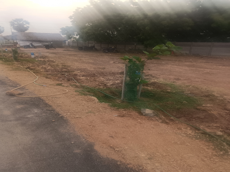 2 BHK House 900 Sq.ft. for Sale in Melapalayam, Tirunelveli
