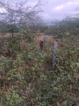  Residential Plot for Sale in Ambasamudram, Tirunelveli