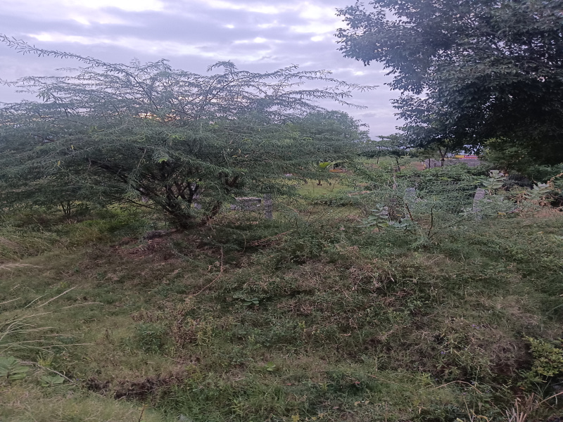  Residential Plot 20 Cent for Sale in Ambasamudram, Tirunelveli