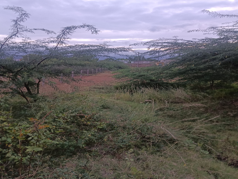  Residential Plot 20 Cent for Sale in Ambasamudram, Tirunelveli
