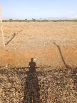  Residential Plot for Sale in Alangulam, Tirunelveli
