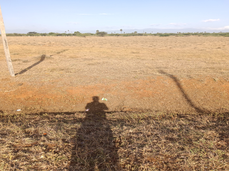  Residential Plot 3 Acre for Sale in Alangulam, Tirunelveli