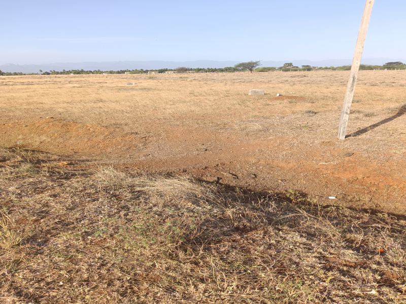  Residential Plot 3 Acre for Sale in Alangulam, Tirunelveli