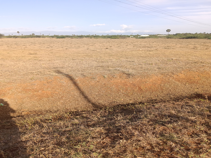  Residential Plot 3 Acre for Sale in Alangulam, Tirunelveli