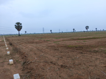  Residential Plot for Sale in Tuckerammalpuram, Tirunelveli