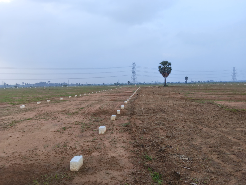  1500 Sq.ft. Residential Plot for Sale in Tuckerammalpuram, Tirunelveli
