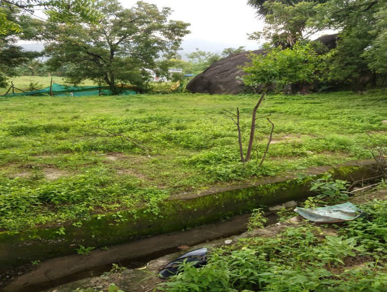 40 Cent Residential Plot for Sale in Papanasam, Tirunelveli