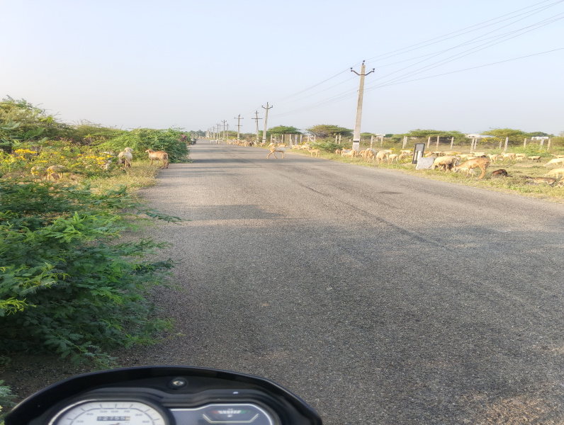  3 Cent Residential Plot for Sale in Pattamadai, Tirunelveli