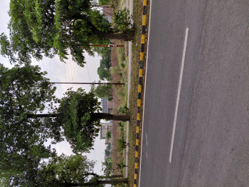  Residential Plot for Sale in Sector 10, Moradabad