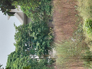 Residential Plot for Sale in Ashiyana Colony, Moradabad