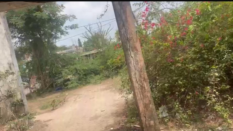  Residential Plot 8000 Sq.ft. for Sale in Songadh, Tapi