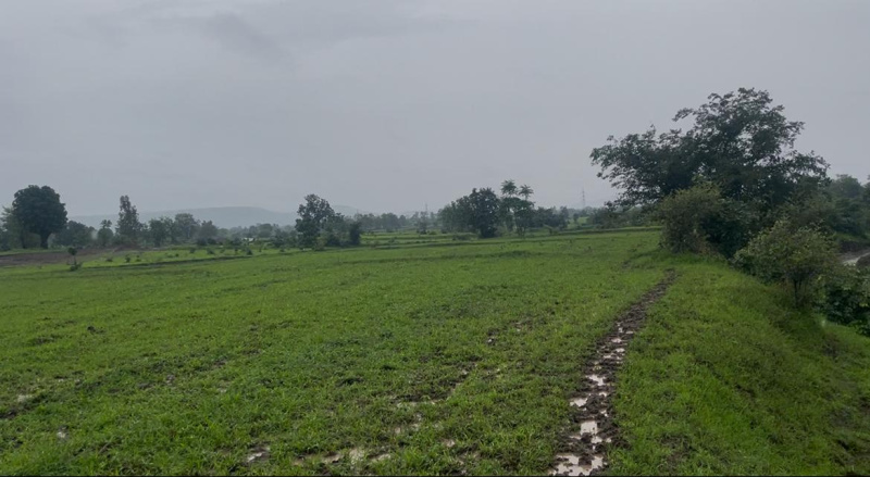  Industrial Land 150 Bigha for Sale in Bardoli, Surat