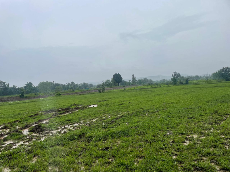  Industrial Land 150 Bigha for Sale in Bardoli, Surat