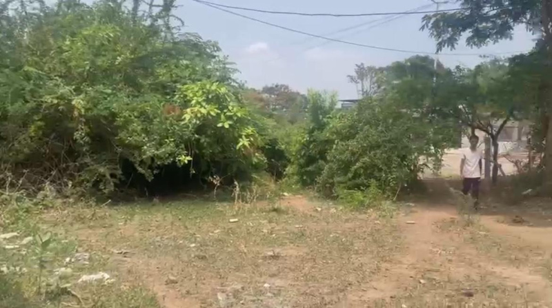 Residential Plot 8000 Sq.ft. for Sale in Songadh, Tapi