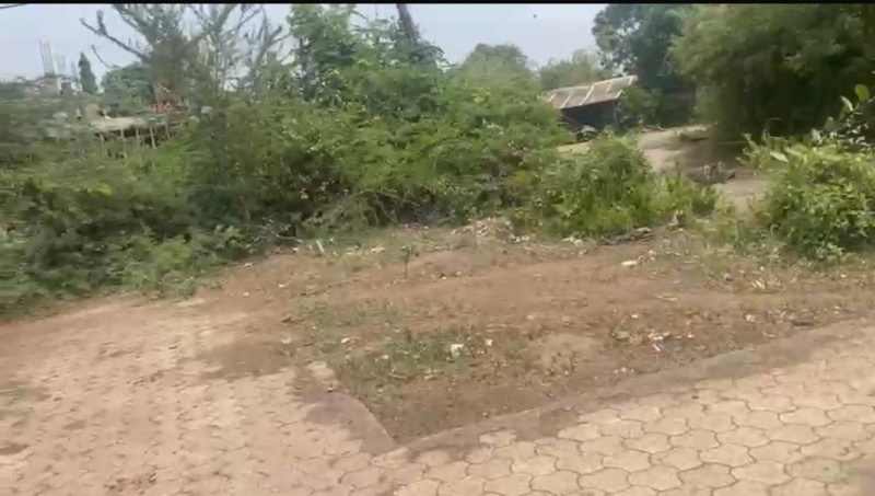  Residential Plot 8000 Sq.ft. for Sale in Songadh, Tapi