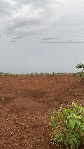  Industrial Land 76 Bigha for Sale in Songadh, Tapi