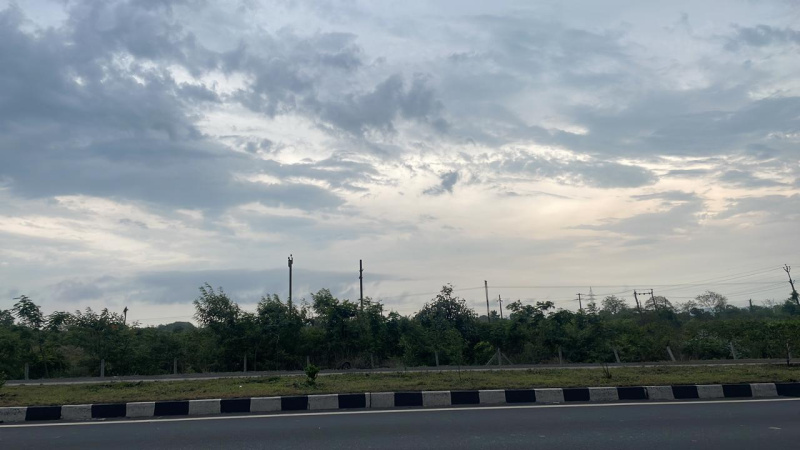  Industrial Land 76 Bigha for Sale in Songadh, Tapi