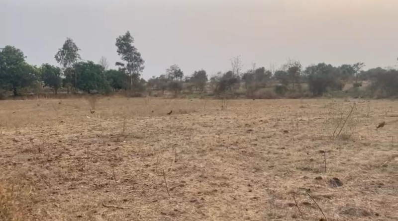  Agricultural Land 5 Bigha for Sale in Songadh, Tapi