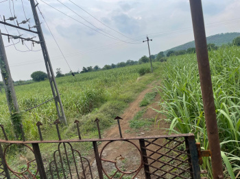  Agricultural Land for Sale in Bardoli, Surat