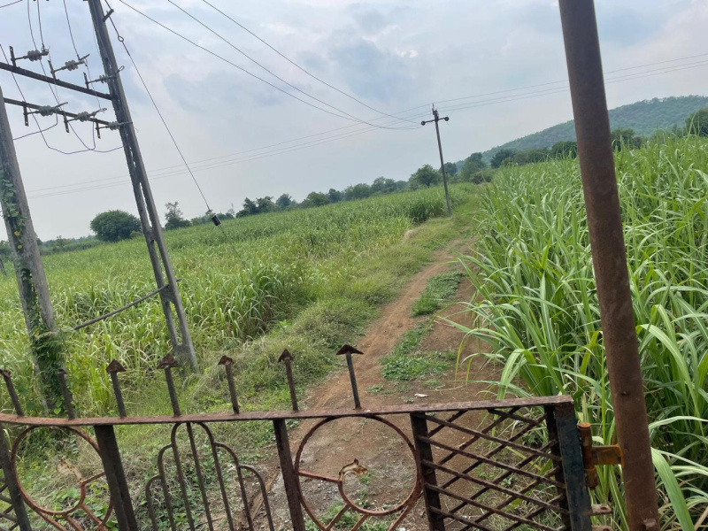  Agricultural Land 9 Bigha for Sale in Bardoli, Surat