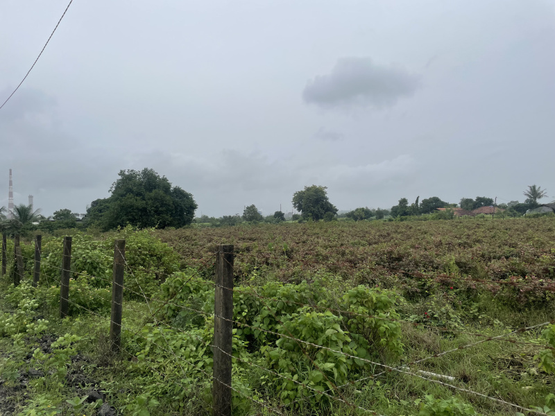  12 Bigha Agricultural/Farm Land for Sale in Songadh, Tapi