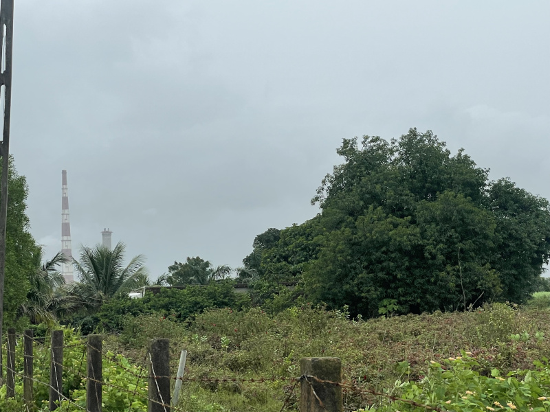 12 Bigha Agricultural/Farm Land for Sale in Songadh, Tapi