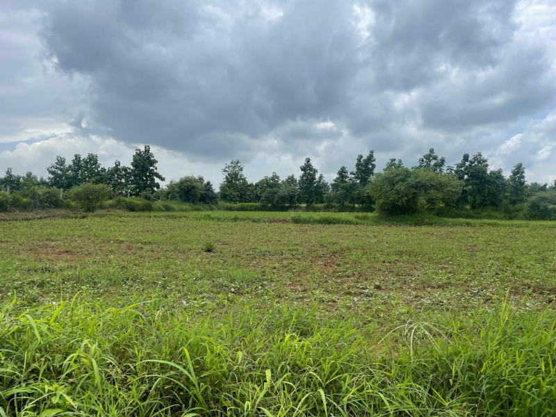  Agricultural Land 4 Bigha for Sale in Songadh, Tapi