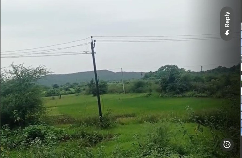  Agricultural Land 5 Bigha for Sale in Songadh, Tapi