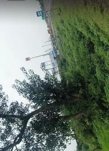 Agricultural Land 5 Bigha for Sale in Songadh, Tapi